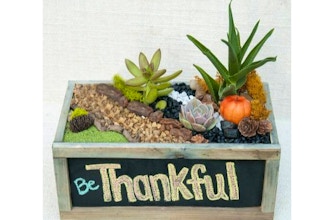 Plant Nite: Be Thankful Chalkboard Planter